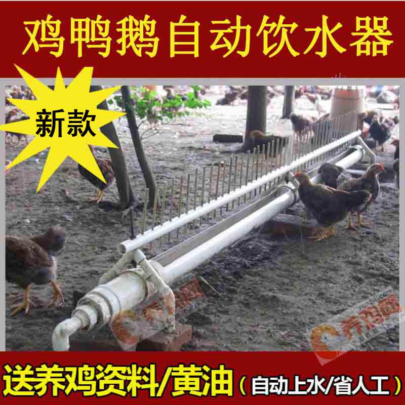 2023鸡用自动饮水器鸡鸭鹅禽养鸡设备喂水食槽喝水神器养鸡设备