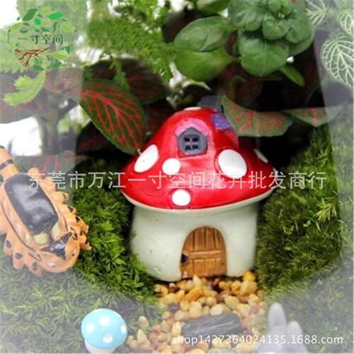 苔藓diy微景观创意礼品水滴瓶微景观套装摆件