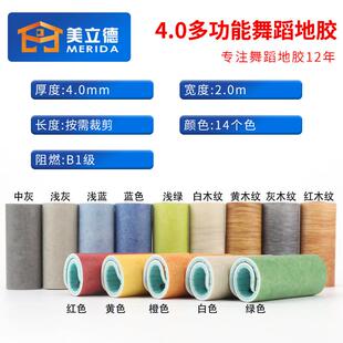 舞蹈地胶舞蹈室练功房排练厅室内幼儿园pvc房地垫舞蹈地胶地板胶