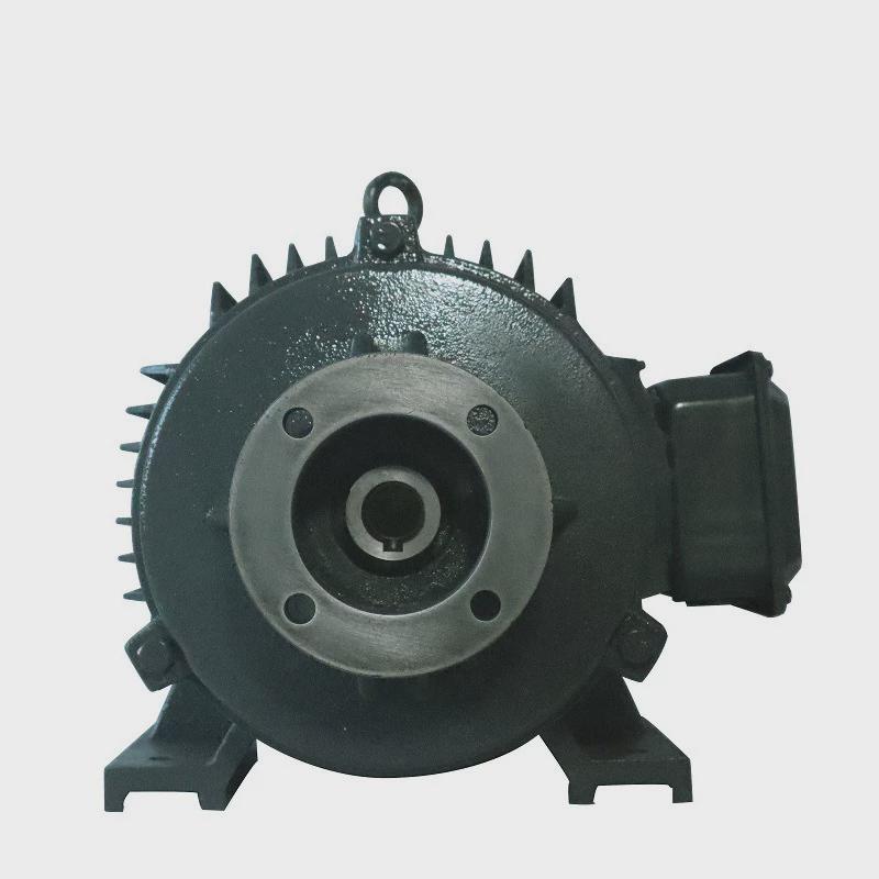 柱塞泵高压清洗机配套马达液压油泵兼用电机全铜机芯三相电机