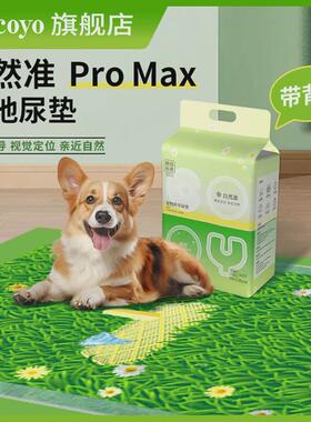 cocoyo狗尿垫宠物尿垫狗狗尿片1.2m*0.9m尿不湿自然准尿布promax1