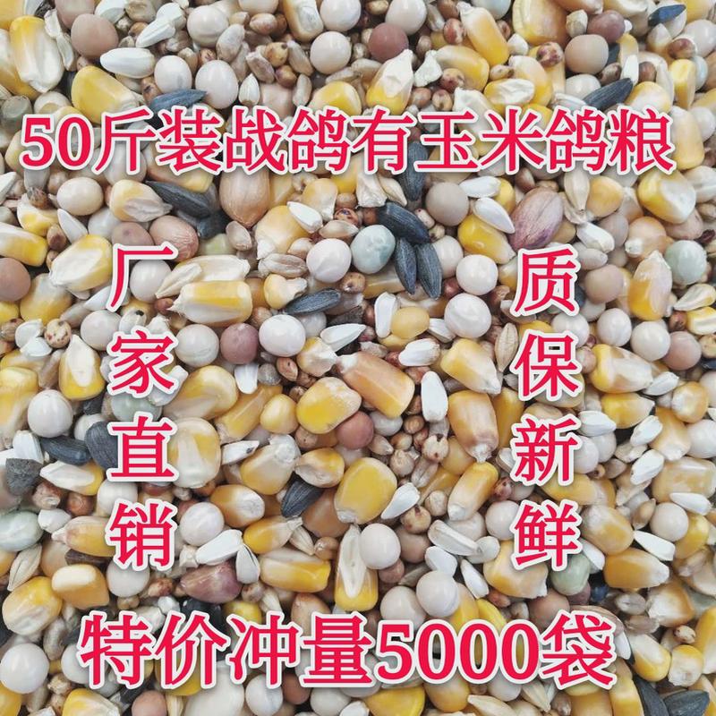50斤成玉米战鸽鸽子粮鸟食赛信鸽观赏鸽肉鸽幼鸽有鸽粮19省包邮