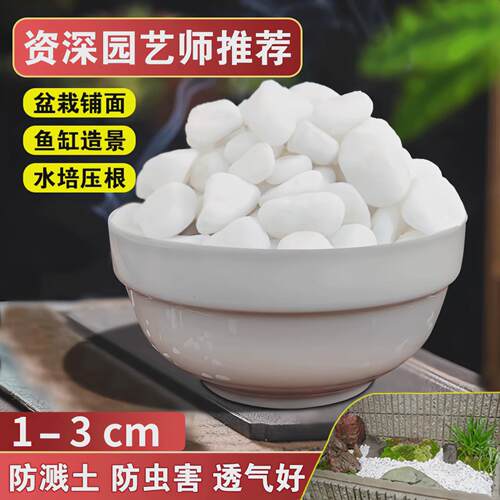 天然白石子庭院铺路鹅卵石白色石子颗粒阳台石头小白造景景观砾石