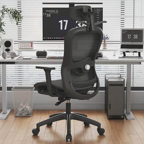 人体工学椅电脑椅家用办公椅可躺可逍遥镂空坐垫3D扶手3D头枕4D腰