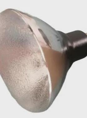 热销FUNATECH船越龙表面检查灯灯泡SP-100W供货日本