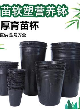12x15cm农业林业专用大号pe塑料育苗花盆营养钵杯批发