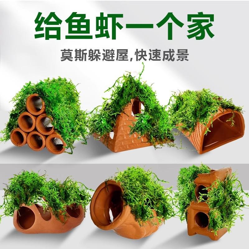 鱼缸水草造景莫斯水草懒人真植物鱼虾躲避罐虾屋小摆件小鱼躲避屋