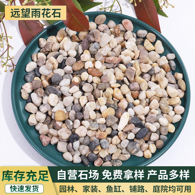 豆石 汗蒸房地暖回填豆石小石头污水处理过滤砂石子小粒雨花石子