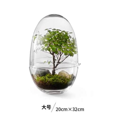 收藏手作玻璃罩微景观生态瓶摆件透明绿植物展示盒防尘三款可选