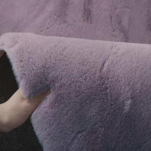 9WOR地毯卧室客厅2023新款 仿兔毛绒床边毛毯加厚长绒卧室满铺飘窗