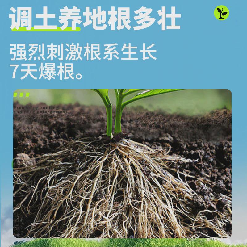 三效根立旺强力生根液生物发酵壮苗草莓调土养根蔬菜三效根立旺