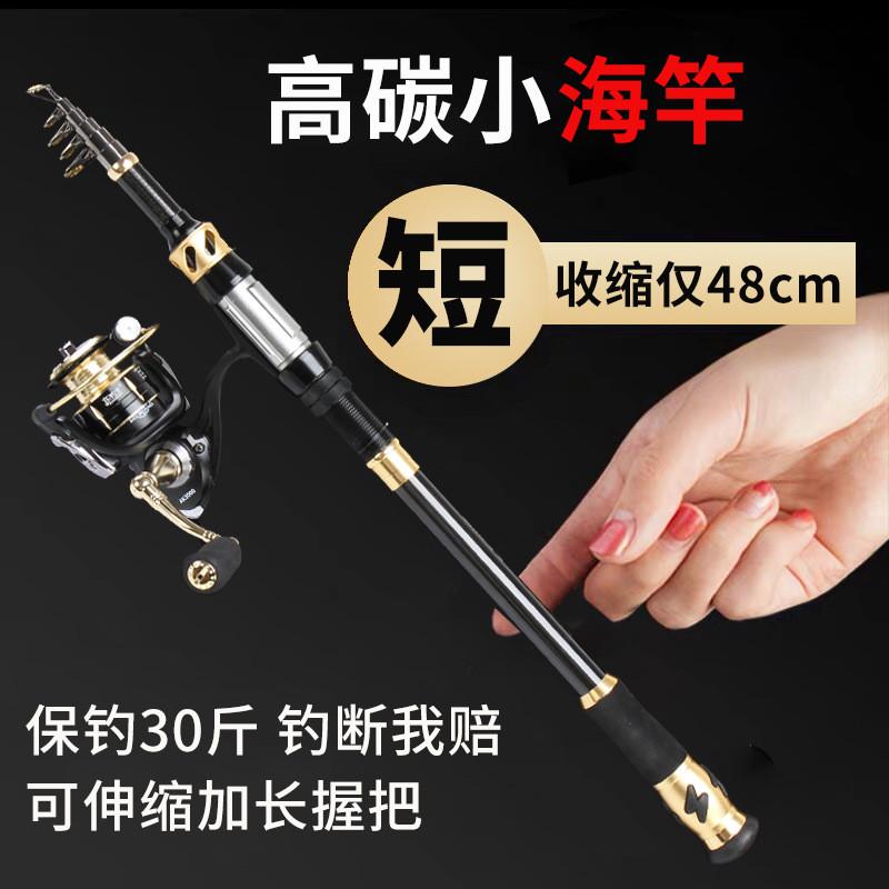 海竿短节迷你小海竿抛竿甩竿岸阀抛竿筏钓竿海杆套装便捷短节鱼竿