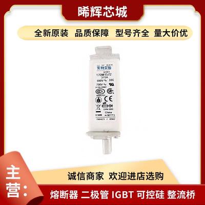 170m1572170m4066库存电子元器件充足型号齐全低压快速熔断器