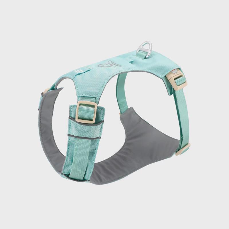 中狗狗胸背牵引绳遛幼小zooland大型犬泰迪柯基比熊边牧博美链子