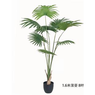 仿真植物唐棕葵圆盆栽蒲葵室内橱窗落地北欧装饰扇葵树假绿植盆