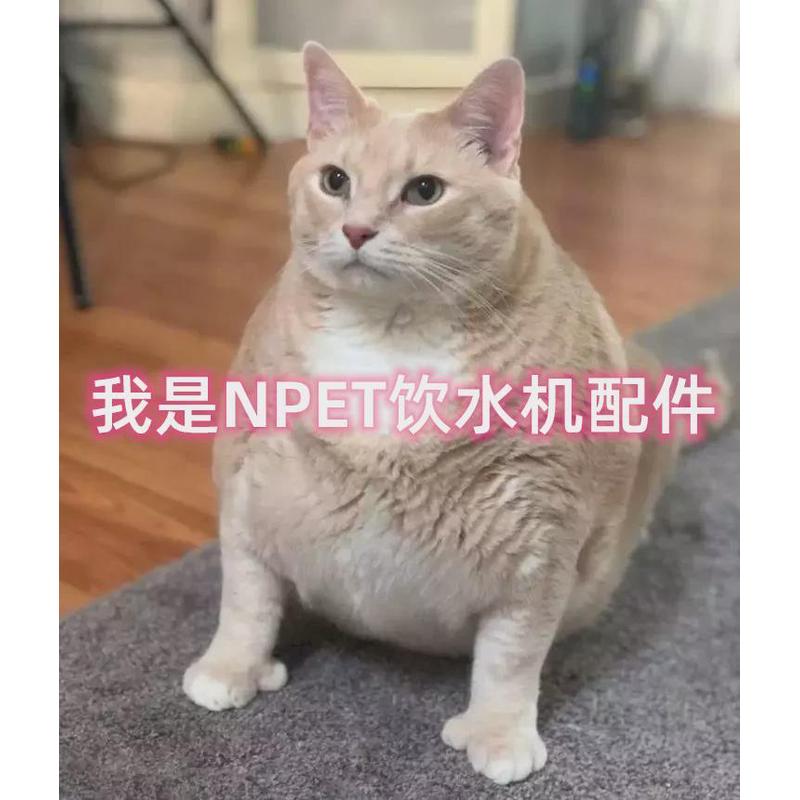 NPET宠物饮水机配件圆形方形透明款水泵可调水流耐干烧自动循环水