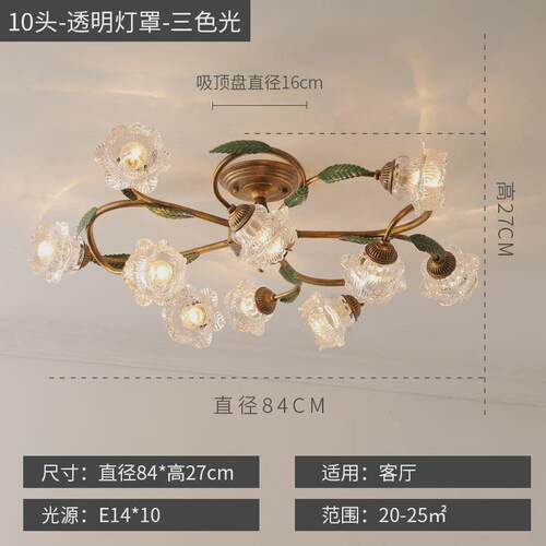 美式复古吸顶灯法式乡村田园客厅灯现代简约创意花草卧室餐厅灯具