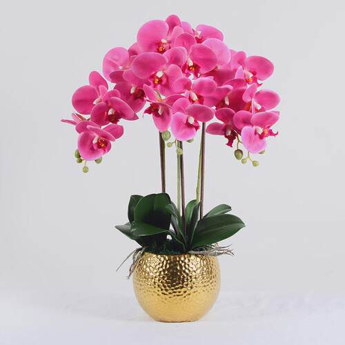 手感胶片蝴蝶兰仿真花摆件客厅兰花假花轻奢ins北欧盆景装饰摆设