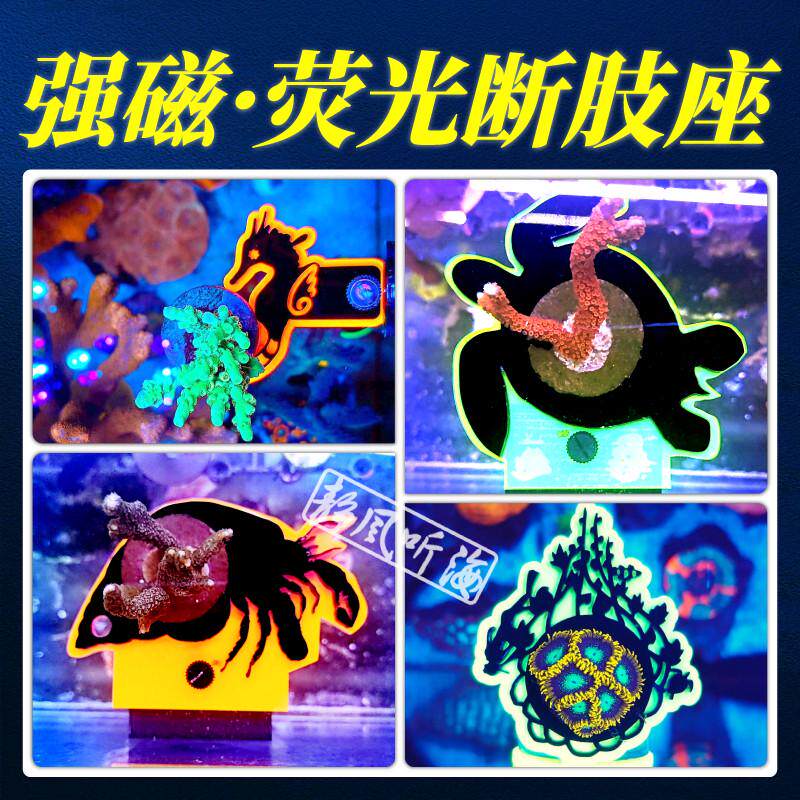 荧光断肢座悬浮托架彩色亚克力强磁珊瑚纽扣繁殖硬骨断枝S基座
