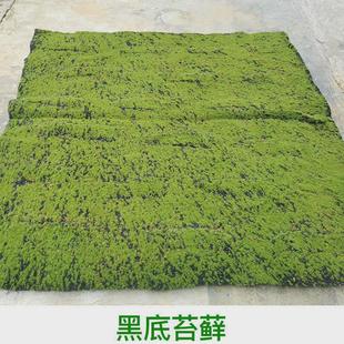 仿真苔藓草皮绿色青苔草皮景观造景假草坪草地背景植物墙装饰绿植