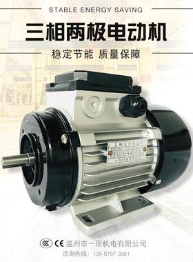 批发铁壳三相两极四极六极异步电动机定制370W离心泵塑料泵磁力泵