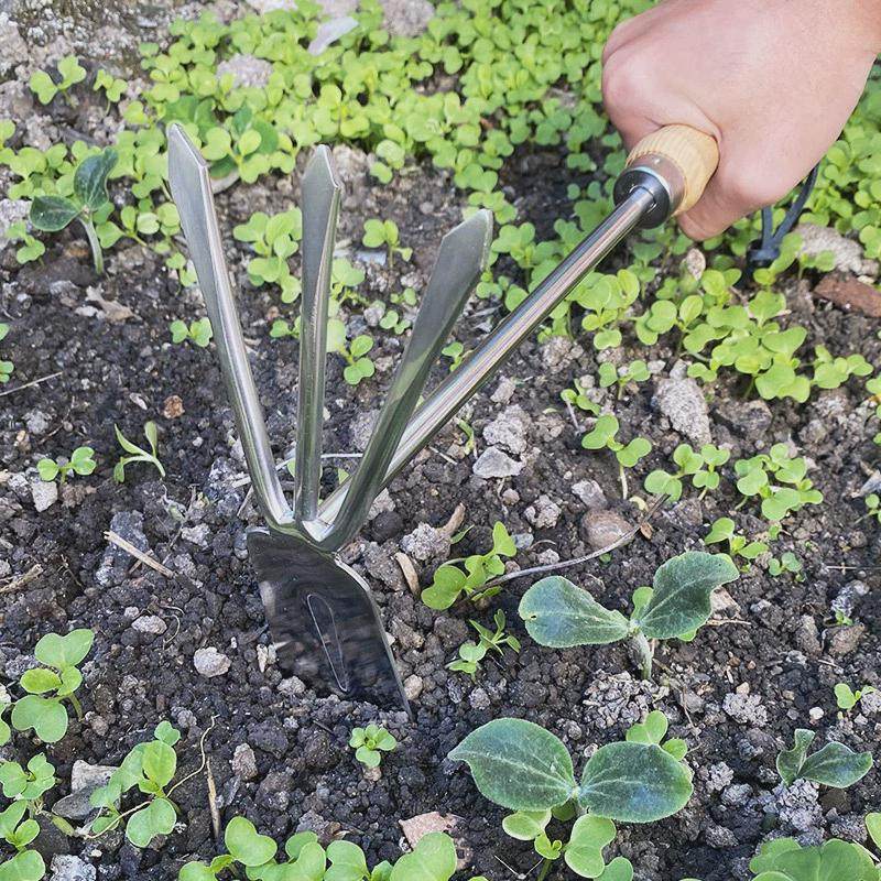 种花小铲子园艺工具花铲套装小铁铲赶海多肉不锈钢锄,鲜花速递/花卉仿真/绿植园艺,园艺用品套装,淘宝优惠券,粉丝福利购,淘宝优惠卷