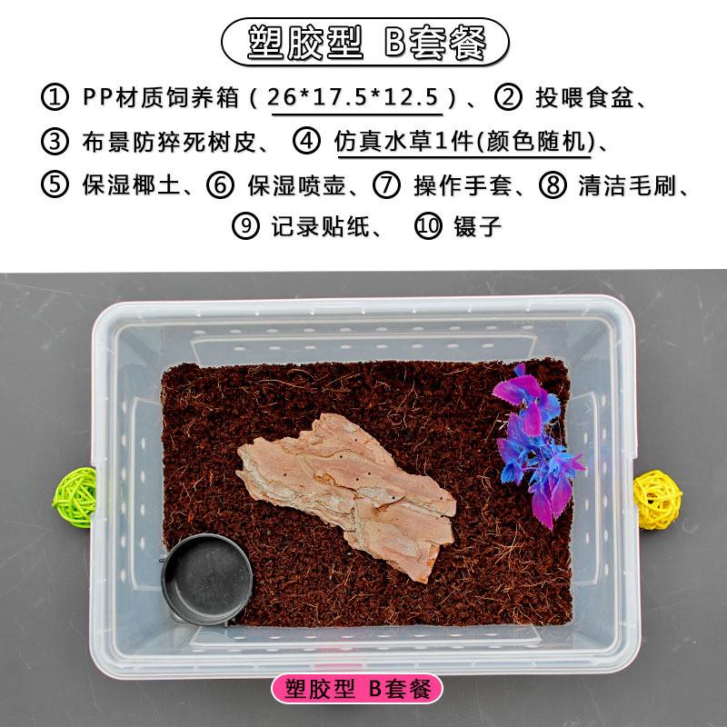 爬宠箱饲养盒亚克力透明独角大号养蚕甲虫蜘蛛塑料仙守宫饲养箱
