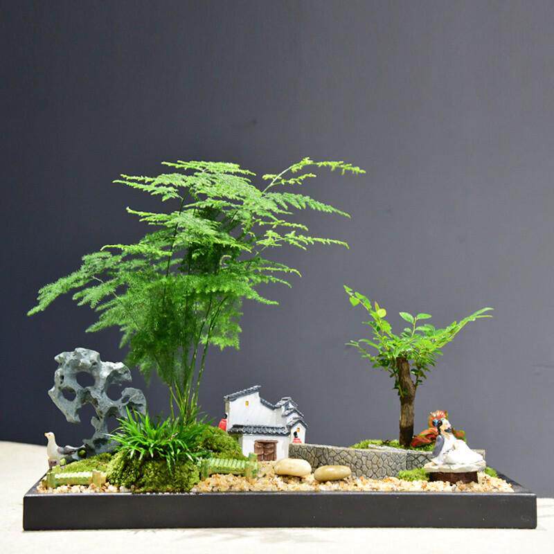 茶室室内禅意绿植山水苔藓微景观植物办公室文竹盆栽四季盆景,鲜花速递/花卉仿真/绿植园艺,绿植,淘宝优惠券,粉丝福利购,淘宝优惠卷