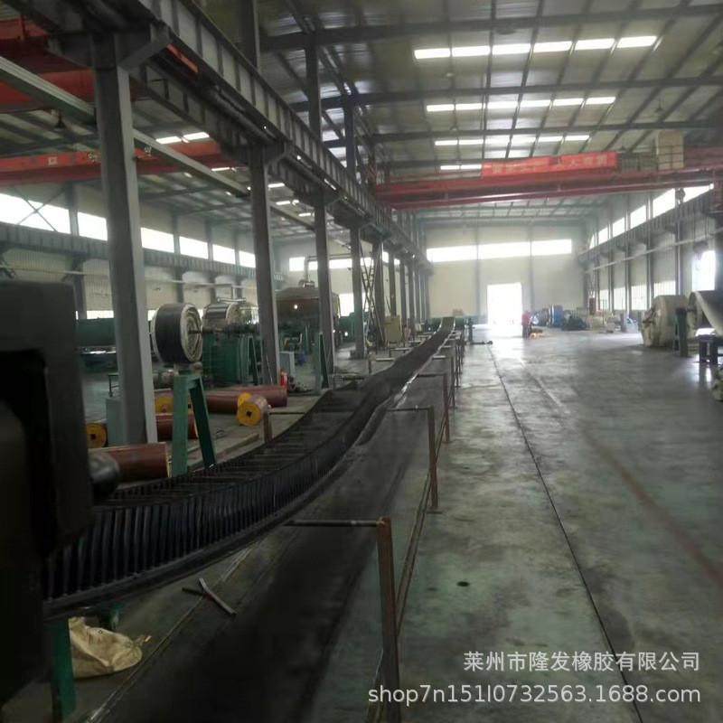 隆发大尼龙挡边带倾角输送带提升机皮带水泥厂用易维护耐磨