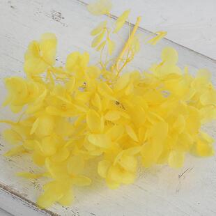 绣球花瓣包花永生材料绣球花滴胶手工艺制作伴制作干花材料diy