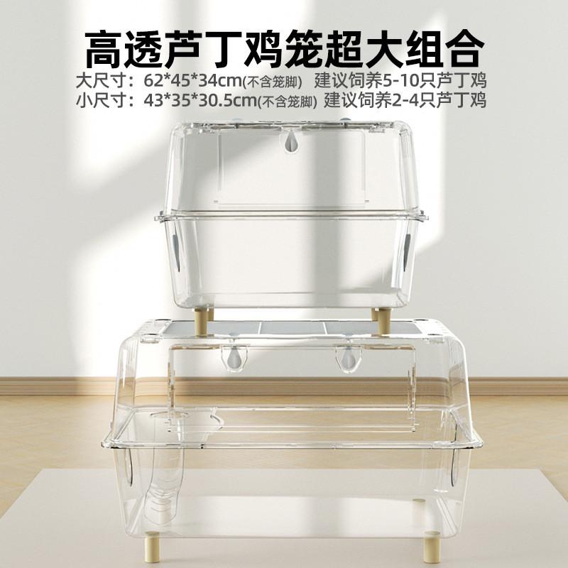 芦丁鸡饲养箱笼子大号亚克力保温观赏卢丁室内透明全套造景专用品