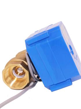 CWX-60PDN15铜大扭矩电动铜球阀清洗机水阀AC220V