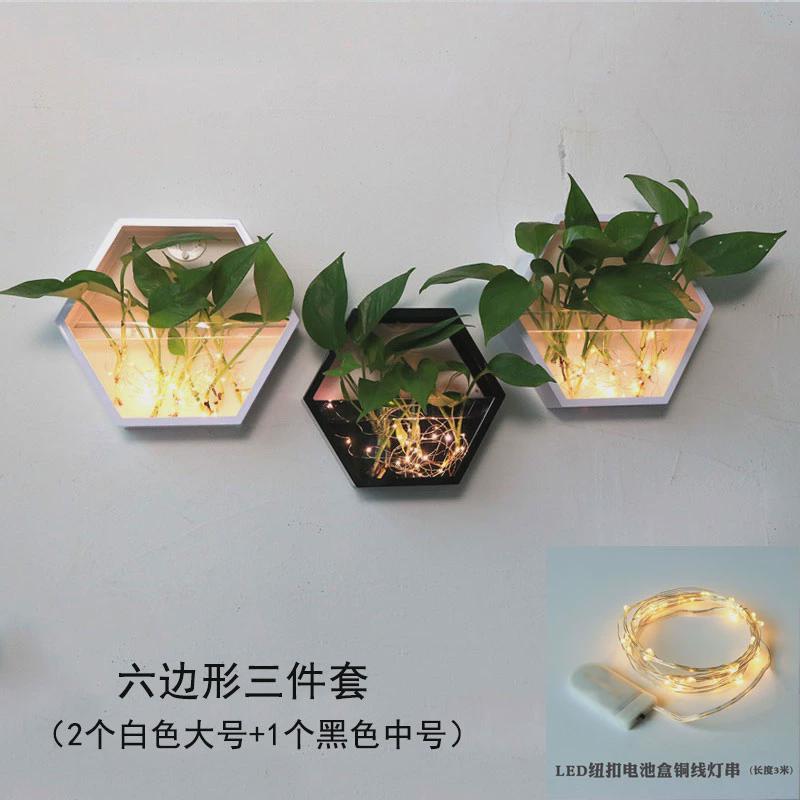 客厅餐厅墙面装饰墙壁挂件水培绿萝创意壁挂花盆挂墙绿植背景墙