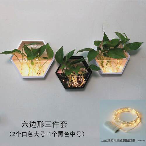 客厅餐厅墙面装饰墙壁挂件水培绿萝创意壁挂花盆挂墙绿植背景墙
