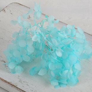 滴胶花瓣包花永生材料绣球花绣球制作工艺制作伴手干花材料diy