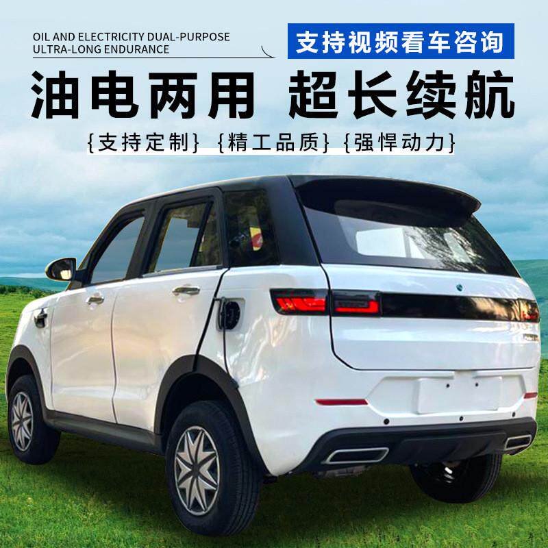 电动四轮汽车电老头乐代步成人女士新能源油家用两用新款电甁轿车