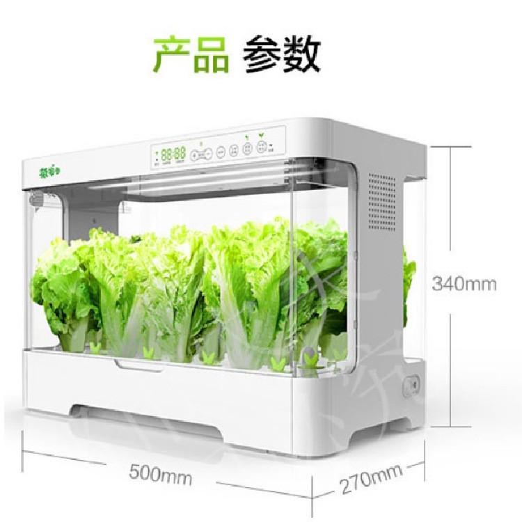 菜多多无土栽培自动化设备种植箱家庭室内水培蔬菜草莓番茄智能