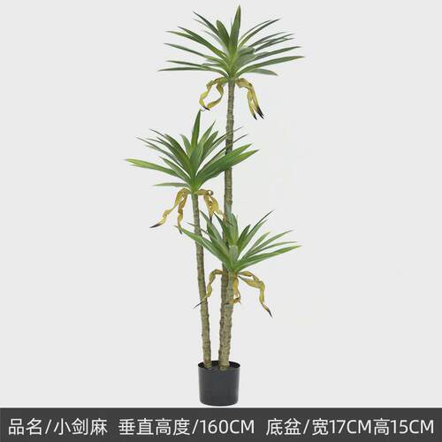 人造热带小物剑兰盆栽大型仿真植物剑麻盆景室内落地假绿植龙舌兰