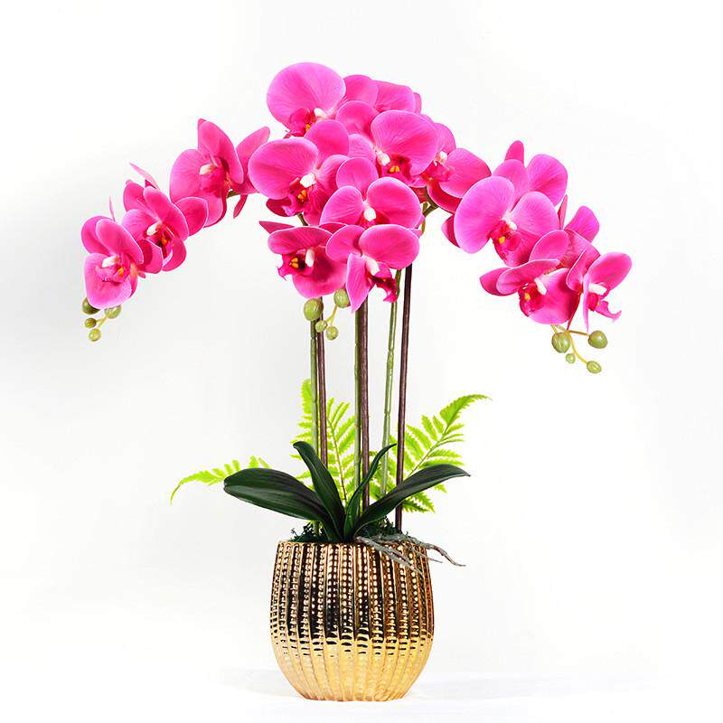 手感仿真花摆件蝴蝶兰胶片客厅兰花假花轻奢ins北欧盆景装饰摆设,鲜花速递/花卉仿真/绿植园艺,仿真绿植,淘宝优惠券,粉丝福利购,淘宝优惠卷