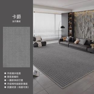 极简2024新款 地毯客厅意式 卧室防水免洗可擦轻奢高级地垫家用沙发