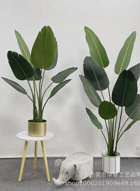 仿真植物旅人蕉盆栽落地造景绿植美人蕉天堂鸟室内家居装饰橱窗假