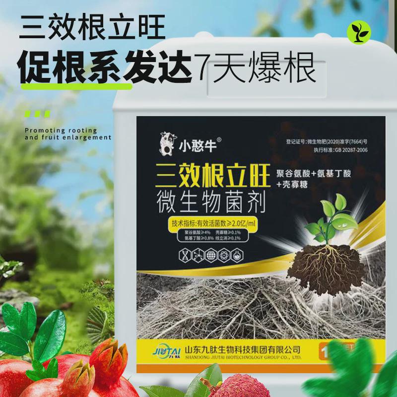 三效根草莓旺强力生根液生物发酵蔬菜立调土养根壮苗三效根立旺