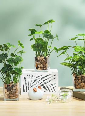 批发小清新玻璃瓶四叶草万年青仿真绿植盆栽摆件家居装饰桌面摆设