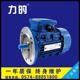 转速910 批发ys7126 低转速电机 6极电机 三相250w ao2 7126