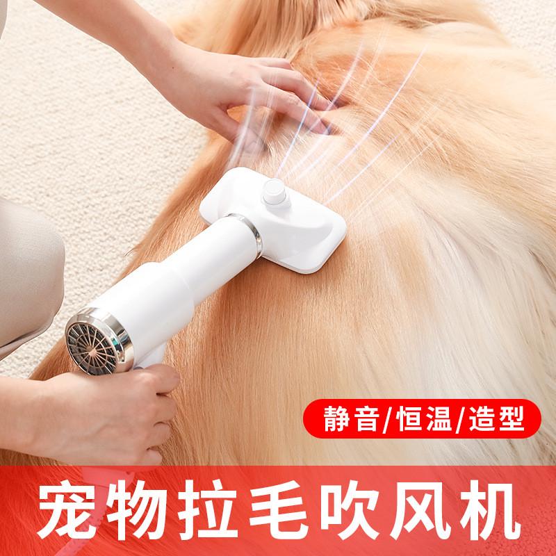 宠物吹风梳电动狗狗猫咪电吹风宠物吹风机清洁美容宠物梳子热风梳