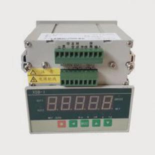 h1s1b1v0n力值显示控制仪上海上润仪表 xsb