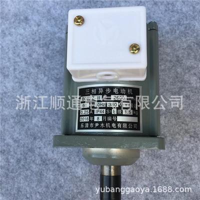 三相异步电动机B062Z60WASF82A120W推动器用液压抱闸电机铜线