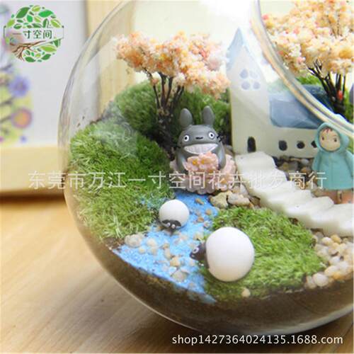 苔藓微景观斜口瓶diy创意礼品苔藓生态瓶微景观套装摆件