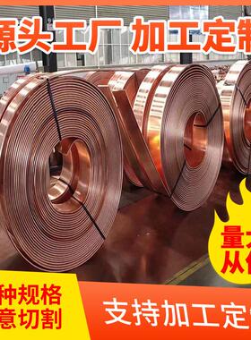 厂家供应电力t2紫铜排tu2无氧紫铜紫铜镀锡排排卷排