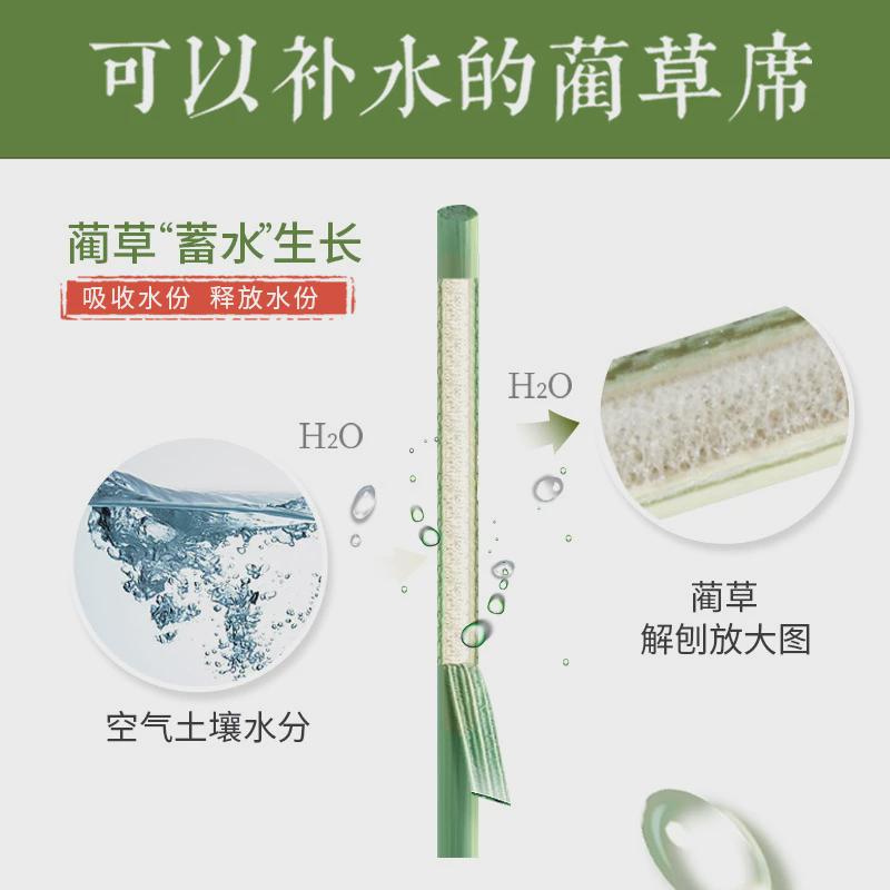 0wyv草席凉席折叠炕席家用农村席子两用冬夏芦苇床垫老式